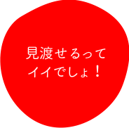 家の中を見渡せるってイイでしょ!